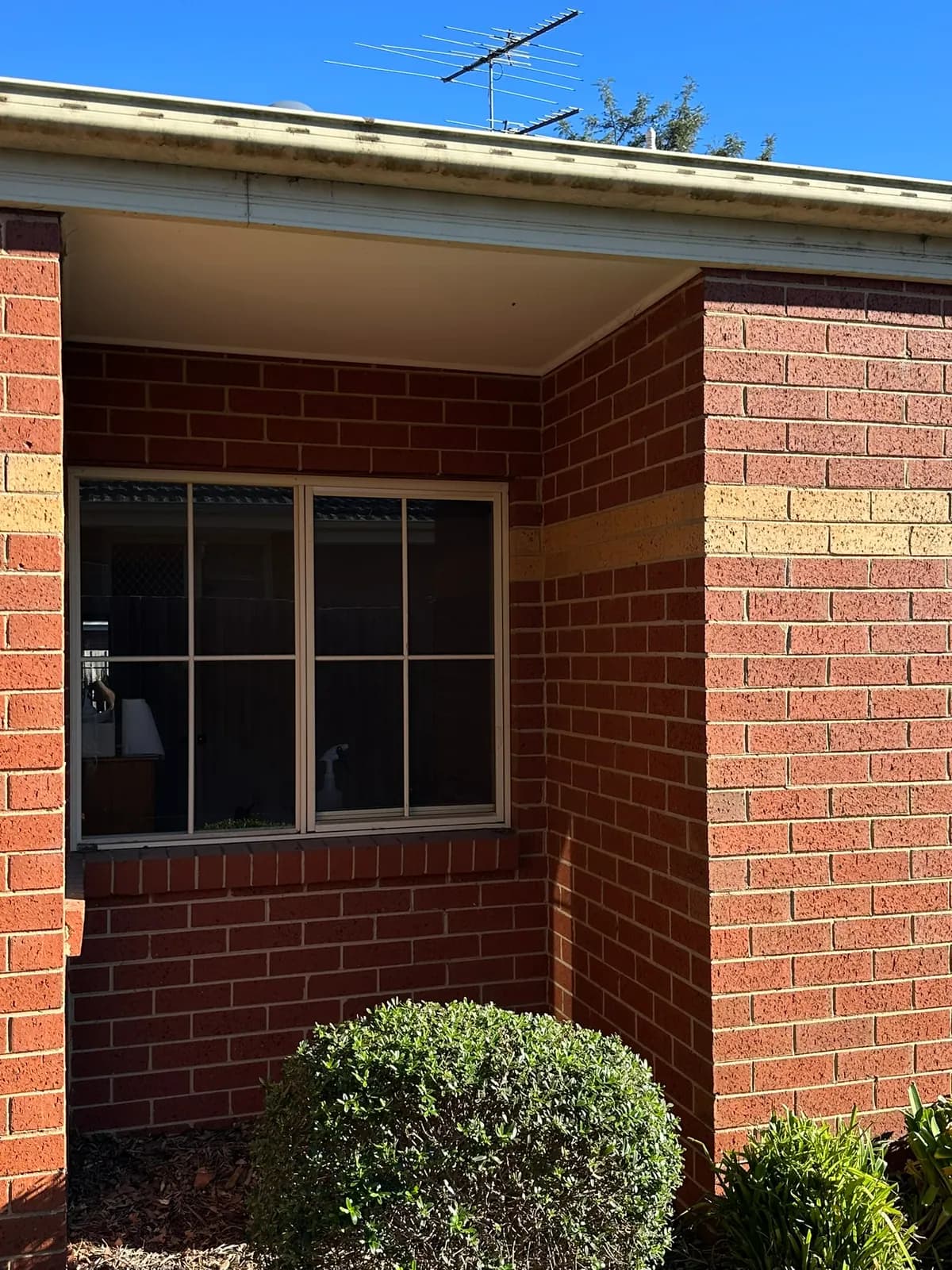 Window tinting in a Chadstone home