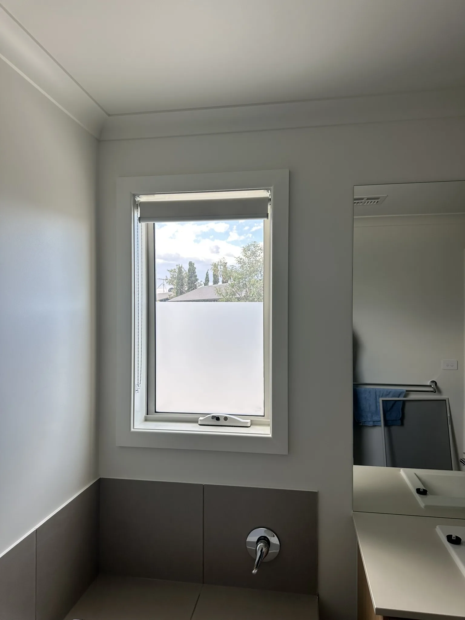 Frost Tint for Bathrooms & Bedrooms, photo 11 of 12