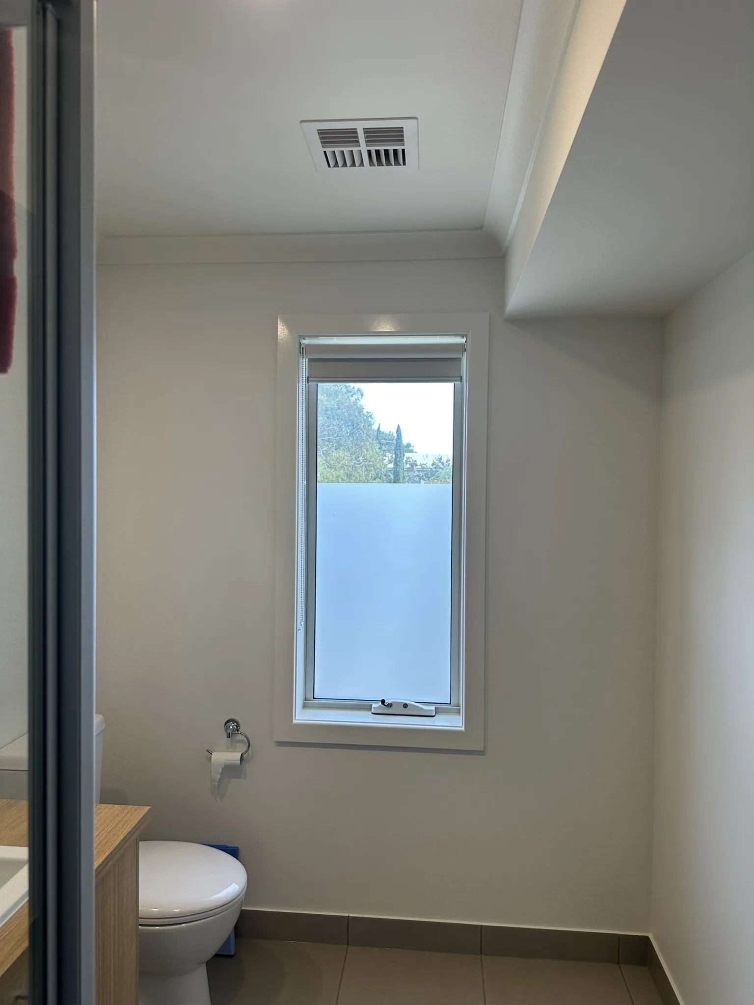 Frost Tint for Bathrooms & Bedrooms, photo 7 of 12