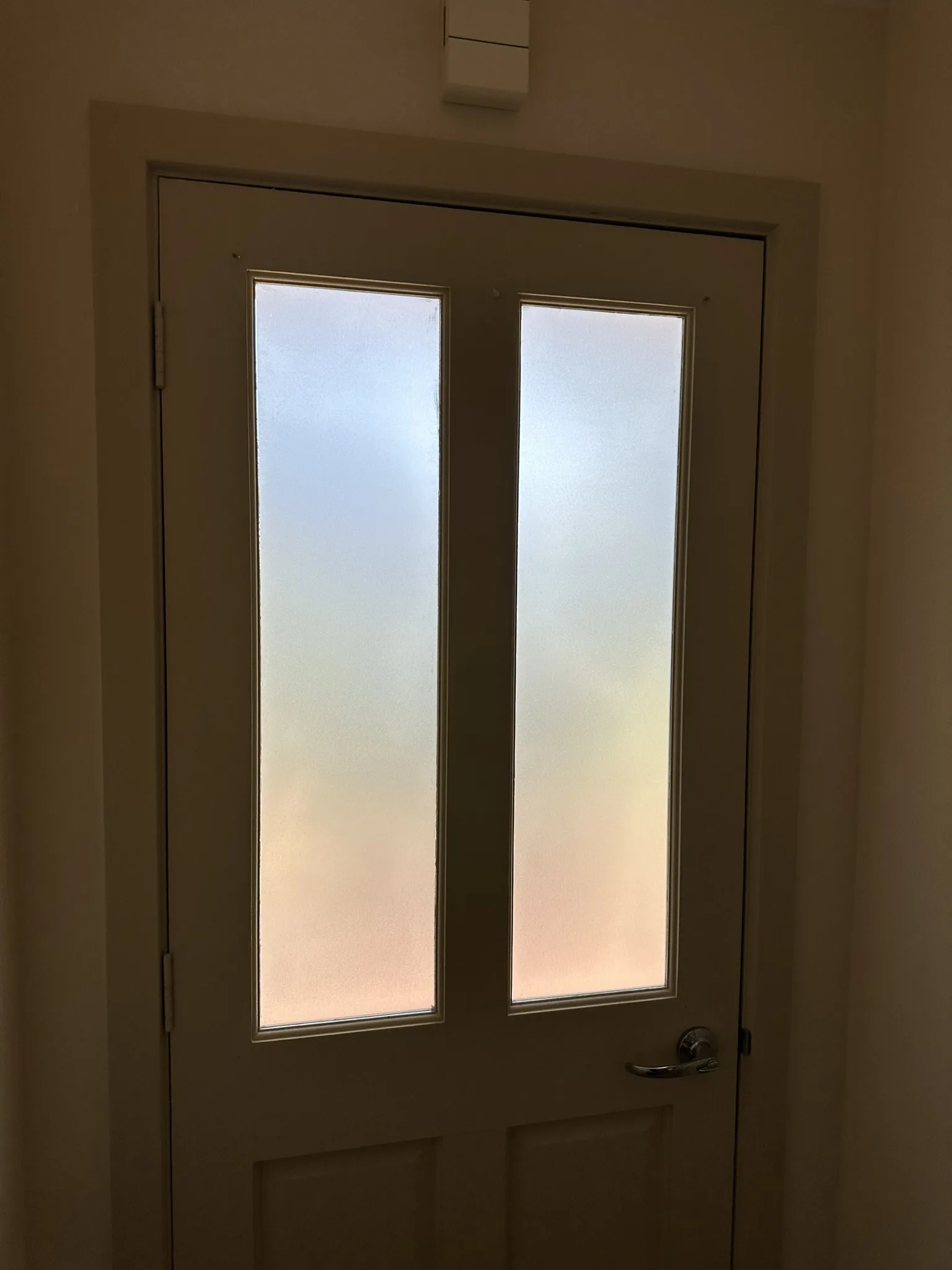 Frosted Film on French Entry Doors in Vermont